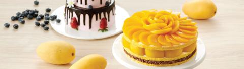 mxcakes_banner_image.jpg