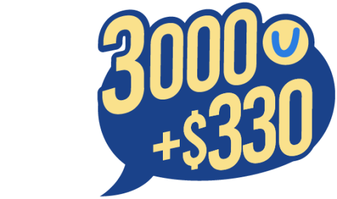 3000+$330.png