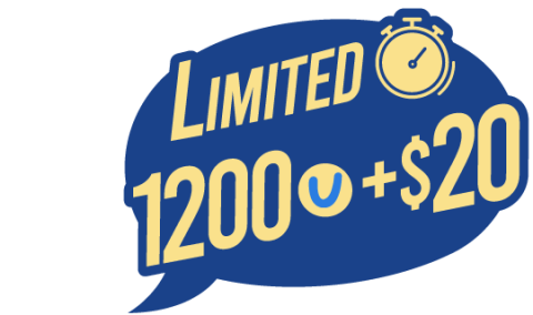 limited_1200+20_EN.png