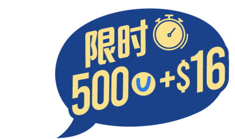Limited 500+16-SC