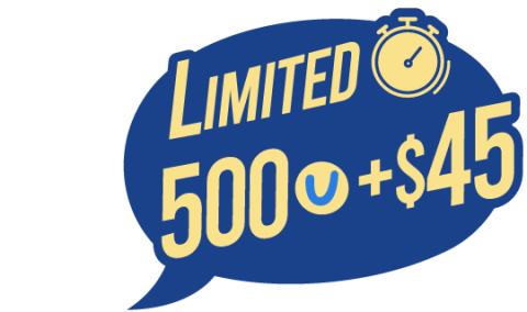 Limited500+45.png